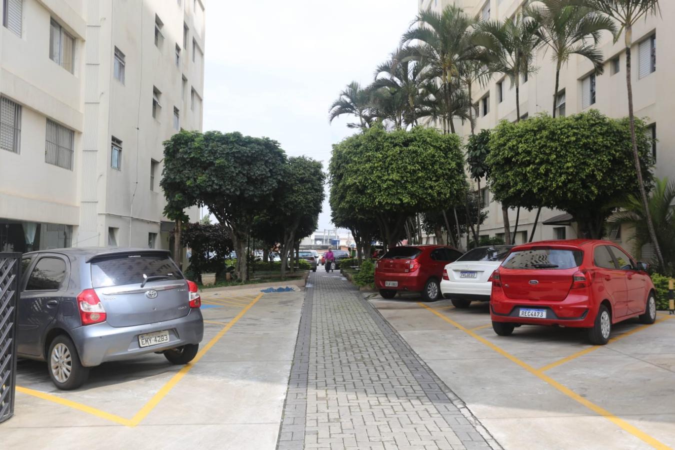 Apartamento - Foto 5