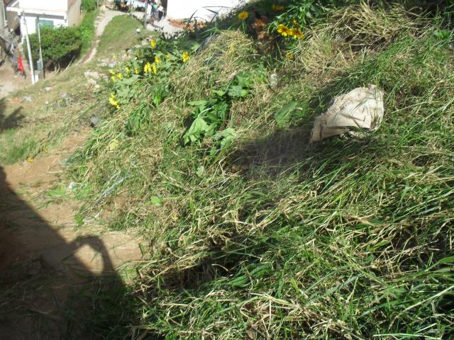 Terreno, 250 m² - Foto 2