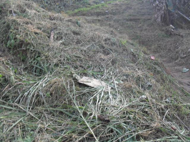 Terreno, 250 m² - Foto 3